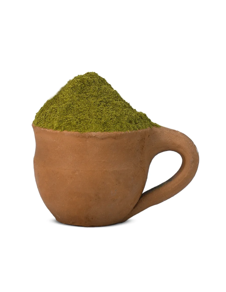 Ginkgo (Ginkgo biloba) – Blattpulver in einer Tontasse