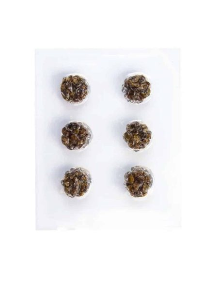 Gratisgeschenk – Microdosing-Trüffel-Pack mit 6 – Blisterkarte mit sechs versiegelten Fächern