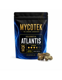 Magische Trüffel Psilocybe Atlantis – Mycotek