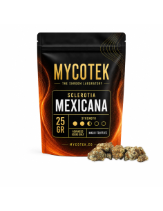 Magische Trüffel Psilocybe Mexicana – Mycotek