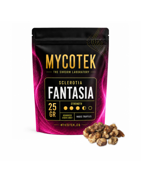 Magische Trüffel Psilocybe Fantasia – Mycotek – Packung mit 25 g und Trüffel