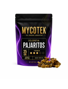 Magische Trüffel Psilocybe Pajaritos – Mycotek