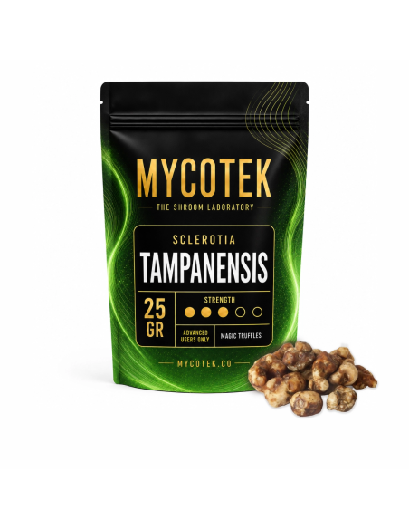 Magische Trüffel Psilocybe Tampanensis – Mycotek – Packung mit 25 g und Trüffel daneben