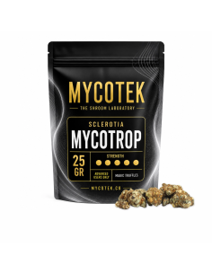 Magische Trüffel Psilocybe Mycotrop – Mycotek