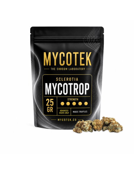 Magische Trüffel Psilocybe Mycotrop – Mycotek – 25-g-Packung mit Trüffeln daneben