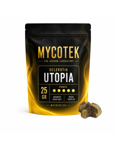 Magische Trüffel Psilocybe Utopia – Mycotek