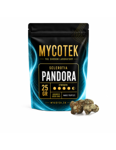 Magische Trüffel Psilocybe Pandora – Mycotek