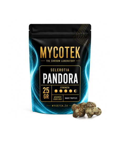 Magische Trüffel Psilocybe Pandora – Mycotek – Beutel mit 25 g und lose Trüffel