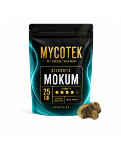 Magische Trüffel Psilocybe Mokum – Mycotek