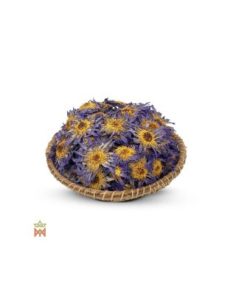 Blauer Lotus aus Thailand – Ganze Blüten, Nymphaea caerulea 2
