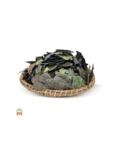 Guayusa aus Ecuador – ganze Blätter, Ilex guayusa 2