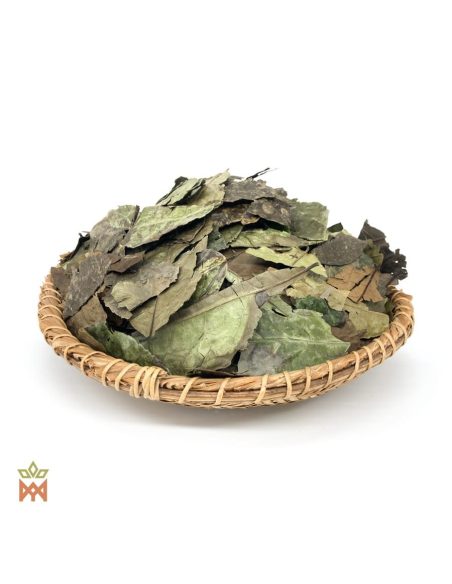 Guayusa aus Ecuador (Ilex guayusa) – ganze Blätter auf einem Flechttablett, von oben