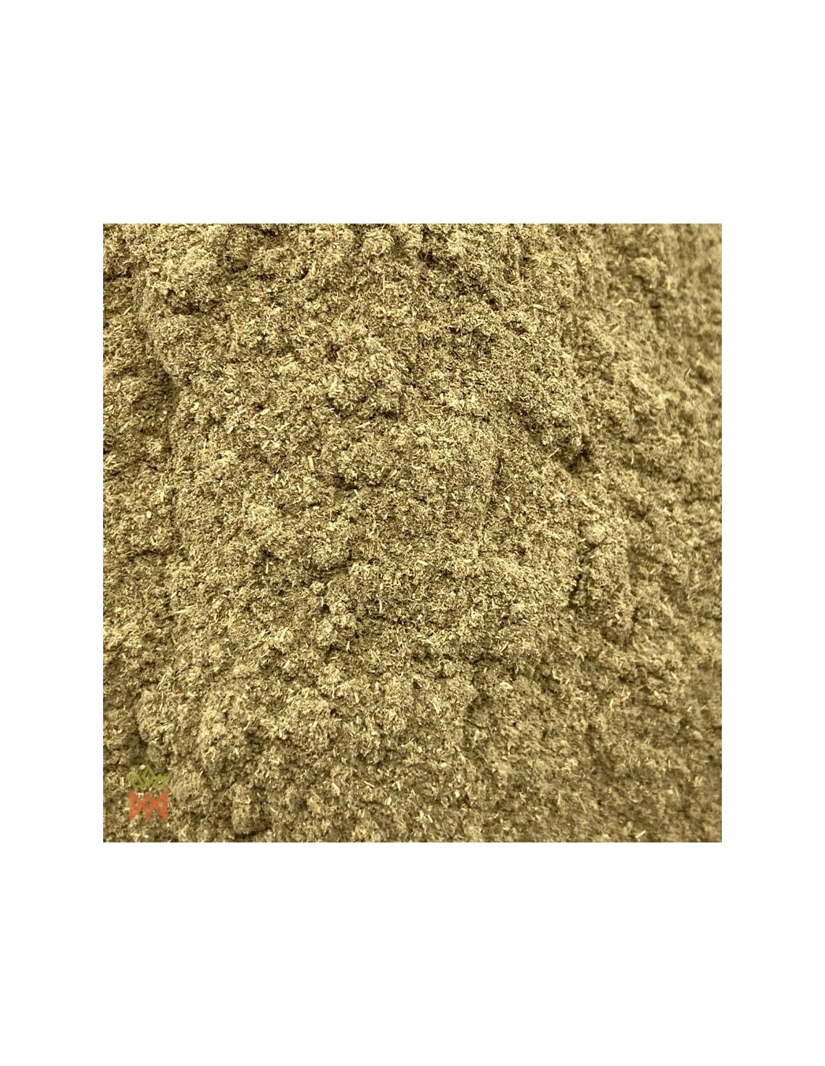 Manayupa-Krautpulver (Desmodium molliculum) – Nahaufnahme des Pulvers