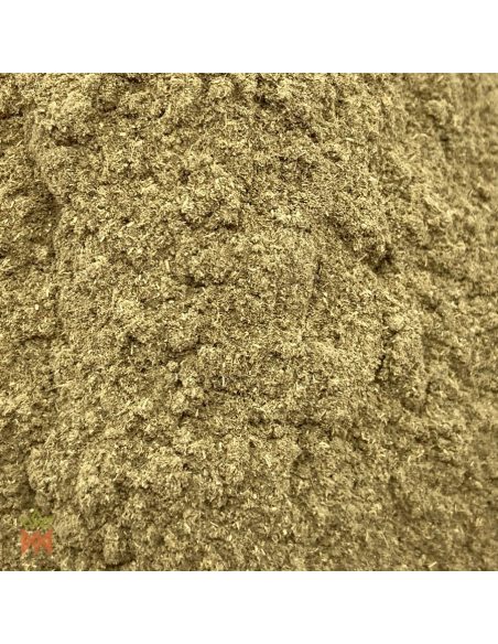 Manayupa-Krautpulver (Desmodium molliculum) – Nahaufnahme des Pulvers