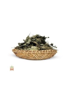 Salbei aus Oaxaca – ganze Blätter, Salvia divinorum 2