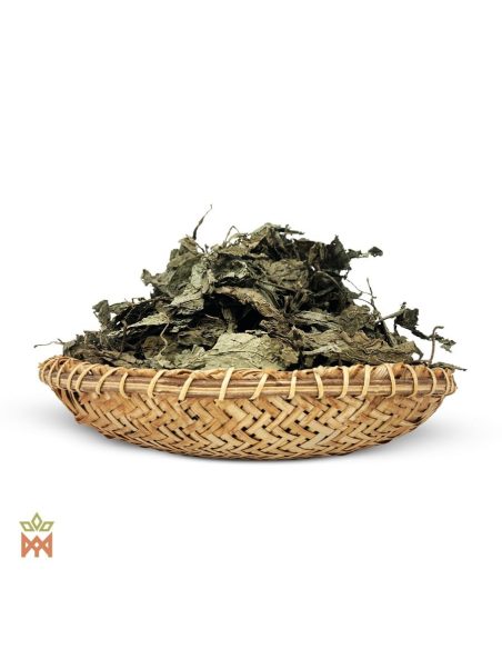 Salbei aus Oaxaca (Salvia divinorum) – zerknitterte, getrocknete ganze Blätter im Flechtkorb