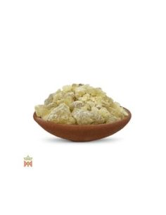 Weißer Copal aus Mexiko – Baumharz, Bursera jorullense 2