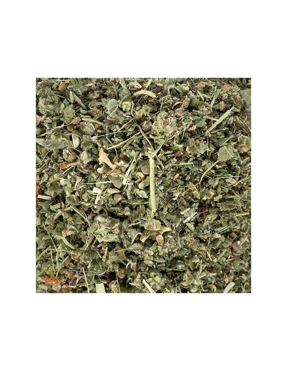Polnischer Eibisch (Althaea officinalis) – Nahaufnahme geschnittener Blatt- und Stängelstücke