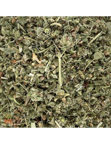 Polnischer Eibisch (Althaea officinalis) – Nahaufnahme geschnittener Blatt- und Stängelstücke