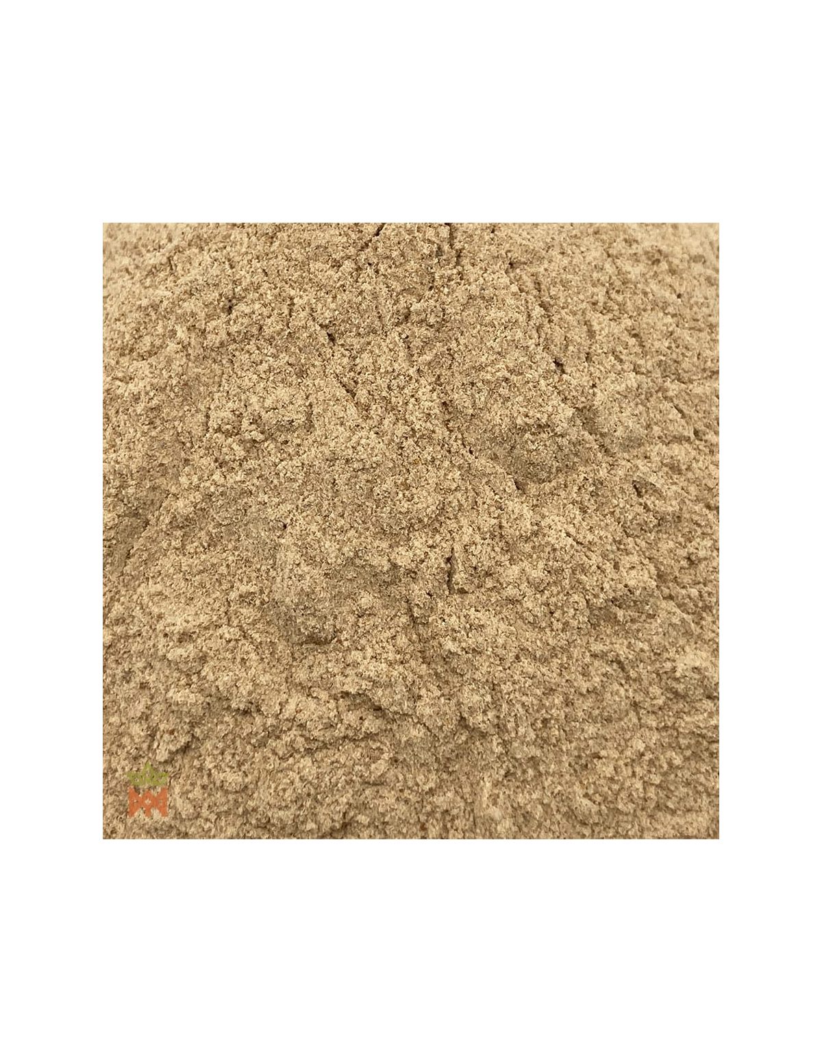 Jergon Sacha (Dracontium loretense) – Nahaufnahme des Wurzelpulvers