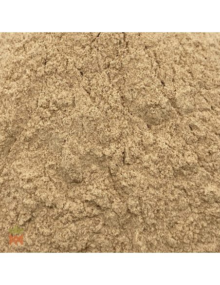 Jergon Sacha (Dracontium loretense) – Nahaufnahme des Wurzelpulvers