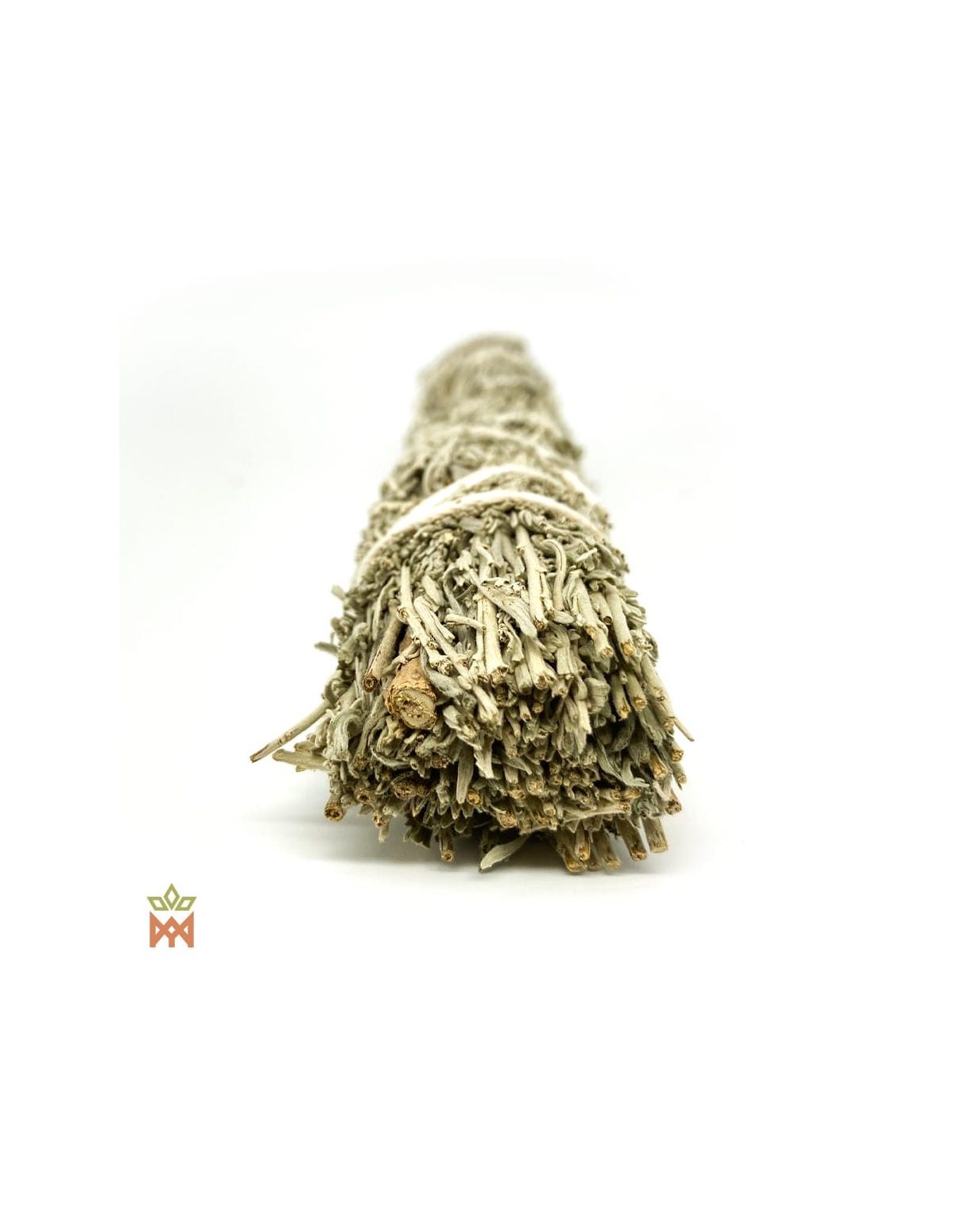 Schnittende des Wüstenbeifuß-Bündels, silbrige beblätterte Triebe von Artemisia tridentata