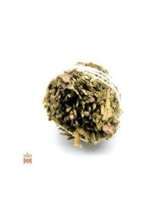 Weihrauchzeder aus den USA – Mittleres Bündel, Libocedrus... 2