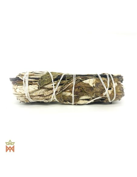 Yerba-Santa-Bündel von der Seite, gefaltete Blätter von Eriodictyon californicum