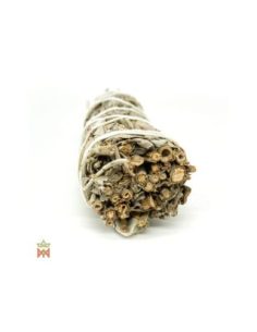 Weißer Salbei aus Oregon – Kleines Blattbündel, Salvia... 2
