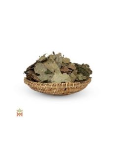 Chaliponga aus Napo, Ecuador – Ganze Blätter, Diplopterys... 2