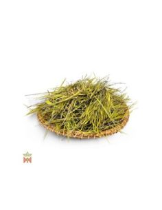 Mangart aus Australien – Ganze schmale Phyllodien, Acacia... 2