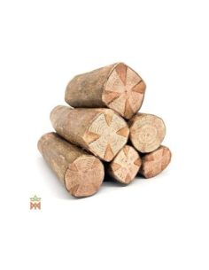 Clavo Huasca aus Peru – ganze Liane, Tynanthus panurensis
