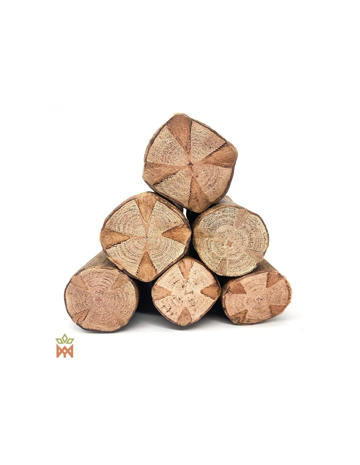Clavo Huasca aus Peru (Tynanthus panurensis) – Schnittflächen mit kreuzförmigem Muster