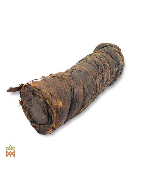 Arapiraca-Mapacho aus Brasilien – Blattrolle, Nicotiana rustica – einzelne Rolle mit Blattenden