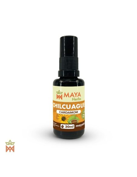 Chilcuague mit Kardamom aus Mexiko – 30-ml-Spray, Heliopsis longipes – Flasche mit Maya-Herbs-Etikett