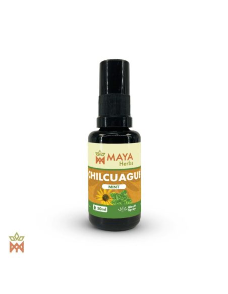 Mexikanischer Chilcuague mit Minze – 30-ml-Spray, Heliopsis longipes – Flasche mit grünem Maya-Herbs-Etikett