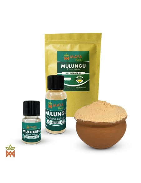 Mulungu-Trockenextrakt 4:1 (Erythrina mulungu) – Beutel von Maya Herbs, zwei Fläschchen und Pulver im Tontopf