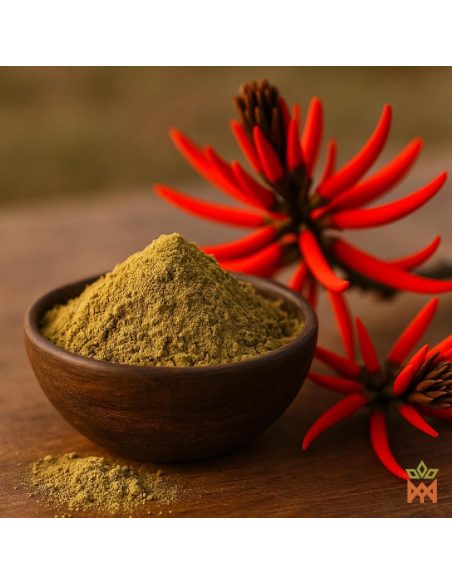 Mulungu (Erythrina mulungu) – Illustration des Lieferanten mit grünbraunem Pulver und roten Blüten