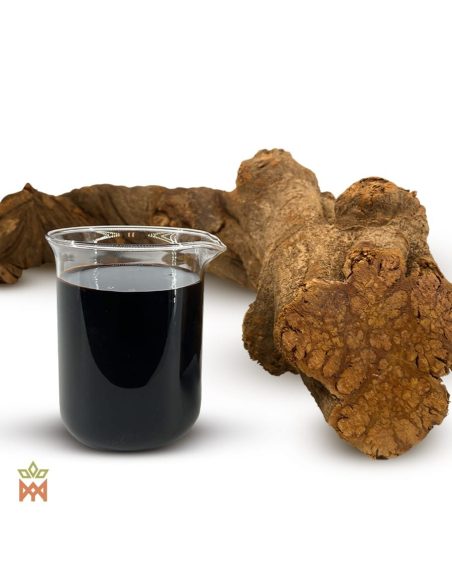Roter Caapi aus Peru – 12:1-Flüssigextrakt, Banisteriopsis caapi – dunkle Flüssigkeit im Becherglas neben dicken Lianenstücken