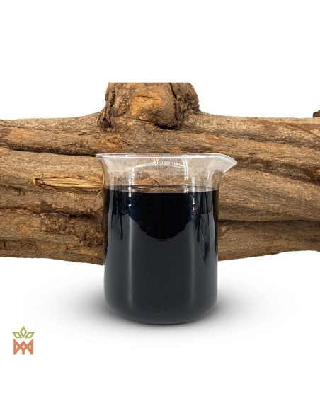Roter Caapi aus Peru – 12:1-Flüssigextrakt, Banisteriopsis caapi – Becherglas mit Extrakt vor einem Lianenstamm