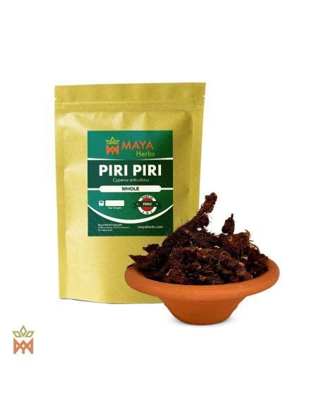 Piri-Piri aus Peru (Cyperus articulatus) – Beutel von Maya Herbs und ganze Wurzelstücke