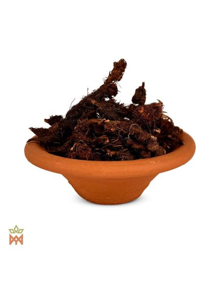Piri-Piri aus Peru (Cyperus articulatus) – dunkle, faserige Wurzelstücke in einer Tonschale