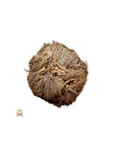 Rose von Jericho – ganze Trockenpflanze