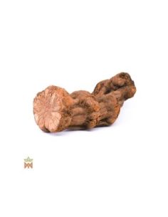 Caupuri aus Brasilien – Ganze Dekorationsliane,...