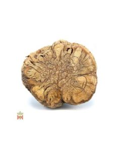 Caupuri aus Brasilien – Ganze Dekorationsliane,... 2