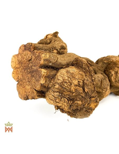 Caupuri aus Brasilien – Ganze Dekorationsliane, Banisteriopsis caapi – Nahaufnahme der knolligen, gedrehten Stämme