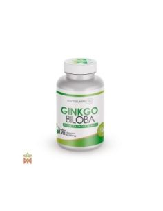 Phytolumiar Ginkgo – Samenkapseln, Ginkgo biloba