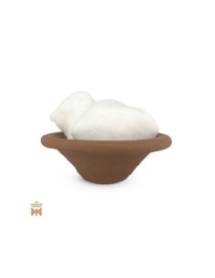 Kampfer aus China – Baumsaft-Harzextrakt, Cinnamomum... 2