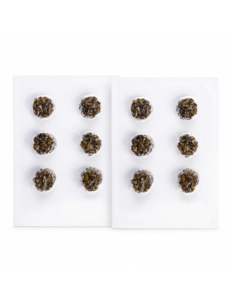 Gratis-Geschenk – zwei Microdosing-Trüffel-Packs mit je 6 Portionen – zwei Blisterkarten mit je sechs versiegelten Fächern