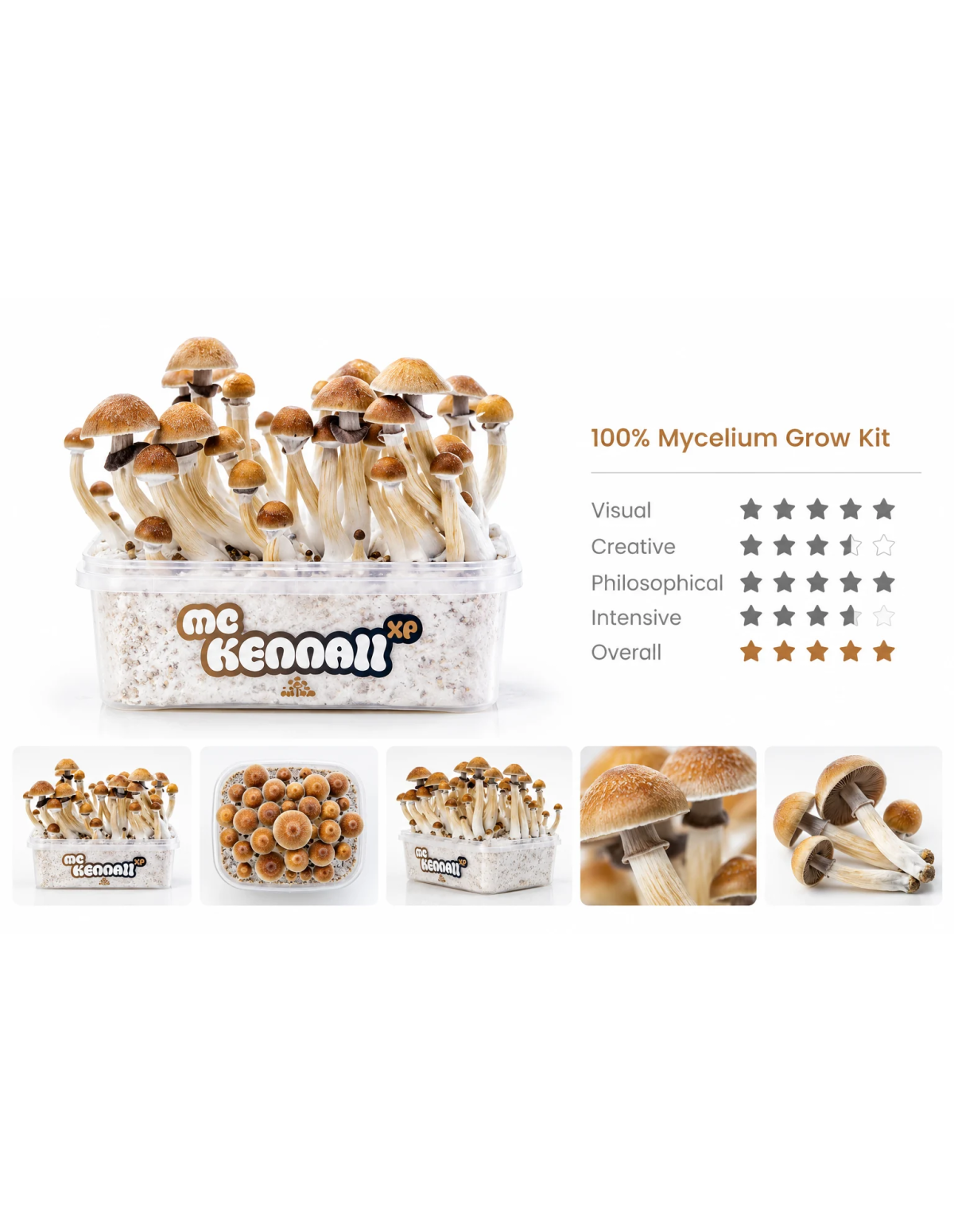 Pilz-Growkit McKennaii von Fresh Mushrooms, 1200 ml – Kit mit McKennaii-Etikett